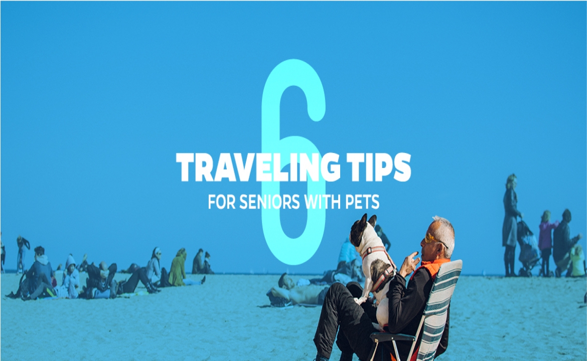 6 Travelling Tips for Seniors with Pets