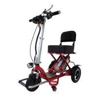 Triaxe Sport Scooter